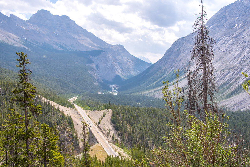 Looking down on the Icefields Parkway.