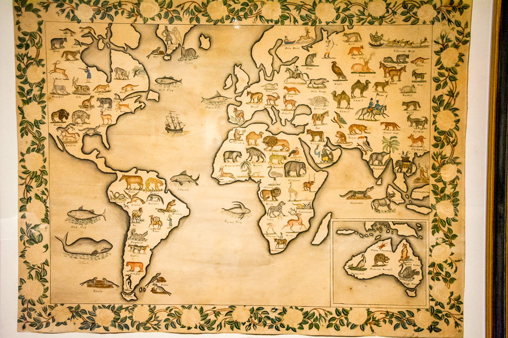 Map of the Animal Kingdom