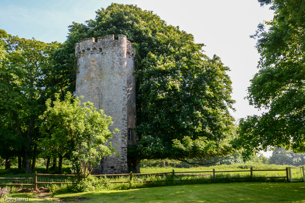 This tower is 800 years old with a 500 year-old horse chestnut beside it.